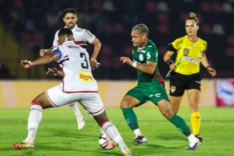 palmeiras-tropeca-diante-do-botafogo-sp-e-perde-chance-da-lideranca-no-paulistao