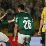 palmeiras-garante-27o-titulo-paulista-e-consolida-hegemonia-estadual